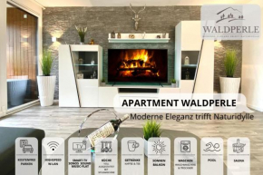 NEU Apartment Waldperle mit Indoor-Pool und Sauna, top Lage und Ausblick in die Natur, Hunde willkommen